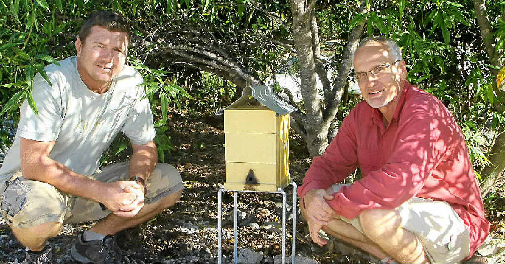 Chris Fuller from Kin Kin Native Bees and Dr Tim Heard of the CSIRO, with a surviving hive of stingless native bees at Landcare Nursery. Chris Fuller from Kin Kin Native Bees and Dr Tim Heard of the CSIRO, with a surviving hive of stingless native bees at Landcare Nursery.